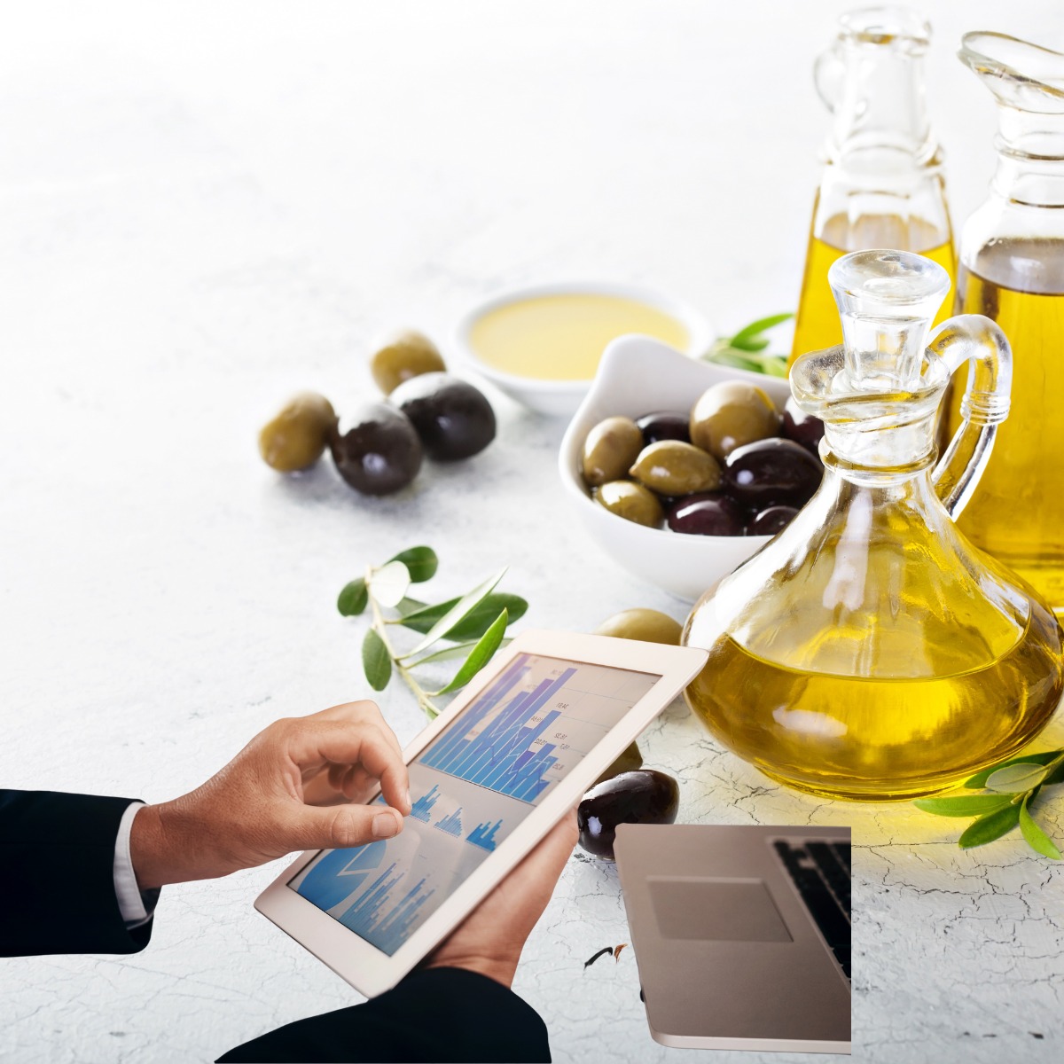 Optimizing Olive Oil Production in Sousse Tunisia with Odoo ERP Traceability Quality and Efficiency for Agricultural Success